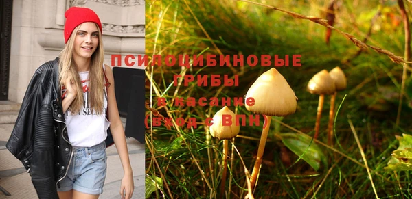 дурь Алексеевка