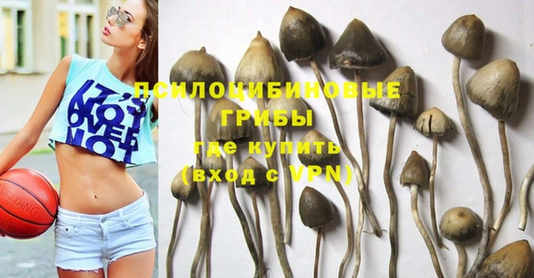 дурь Алексеевка