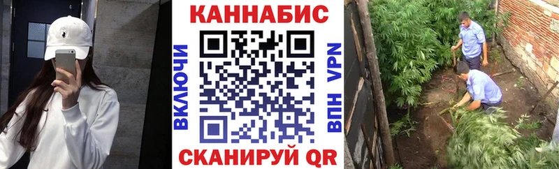 Бошки Шишки планчик  Джанкой 